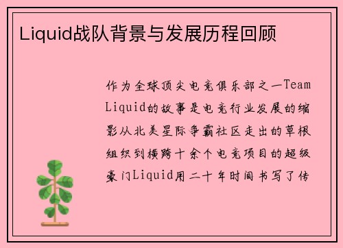 Liquid战队背景与发展历程回顾