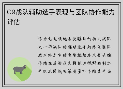 C9战队辅助选手表现与团队协作能力评估